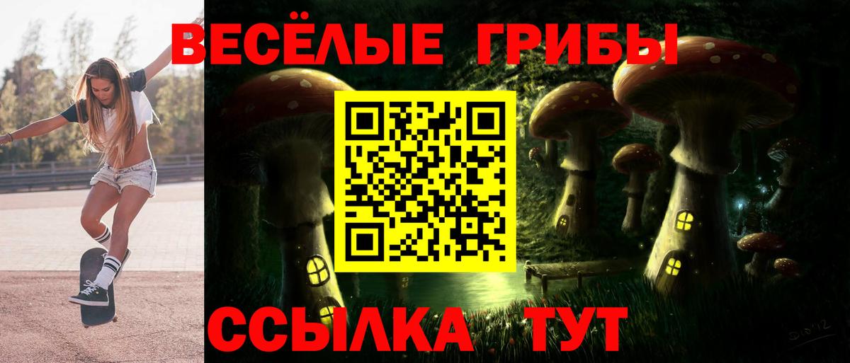 Псилоцибиновые грибы прущие грибы Красноярск